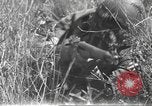 Image of 3rd Division soldiers Anzio Italy, 1944, second 55 stock footage video 65675060349