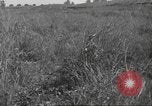 Image of 3rd Division soldiers Anzio Italy, 1944, second 60 stock footage video 65675060349