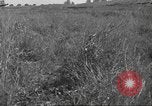 Image of 3rd Division soldiers Anzio Italy, 1944, second 61 stock footage video 65675060349
