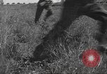 Image of 3rd Division soldiers Anzio Italy, 1944, second 62 stock footage video 65675060349