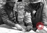 Image of 86th Regiment 10th Mountain Division Italy, 1945, second 9 stock footage video 65675060352