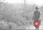 Standbild 10th Mountain Division Mule Pack Zug Italien, 1945, aus Sekunde 21 historischem Filmmaterial Videoclip 65675060354