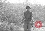 Standbild 10th Mountain Division Mule Pack Zug Italien, 1945, aus Sekunde 22 historischem Filmmaterial Videoclip 65675060354