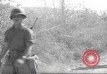 Standbild 10th Mountain Division Mule Pack Zug Italien, 1945, aus Sekunde 23 historischem Filmmaterial Videoclip 65675060354