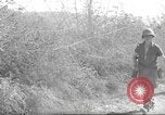 Standbild 10th Mountain Division Mule Pack Zug Italien, 1945, aus Sekunde 24 historischem Filmmaterial Videoclip 65675060354