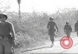 Standbild 10th Mountain Division Mule Pack Zug Italien, 1945, aus Sekunde 26 historischem Filmmaterial Videoclip 65675060354