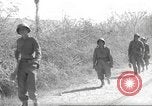 Standbild 10th Mountain Division Mule Pack Zug Italien, 1945, aus Sekunde 29 historischem Filmmaterial Videoclip 65675060354