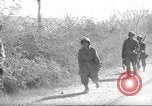 Standbild 10th Mountain Division Mule Pack Zug Italien, 1945, aus Sekunde 30 historischem Filmmaterial Videoclip 65675060354