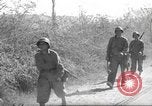 Standbild 10th Mountain Division Mule Pack Zug Italien, 1945, aus Sekunde 32 historischem Filmmaterial Videoclip 65675060354