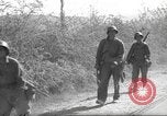 Standbild 10th Mountain Division Mule Pack Zug Italien, 1945, aus Sekunde 33 historischem Filmmaterial Videoclip 65675060354