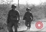 Standbild 10th Mountain Division Mule Pack Zug Italien, 1945, aus Sekunde 35 historischem Filmmaterial Videoclip 65675060354