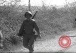 Standbild 10th Mountain Division Mule Pack Zug Italien, 1945, aus Sekunde 36 historischem Filmmaterial Videoclip 65675060354