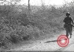 Standbild 10th Mountain Division Mule Pack Zug Italien, 1945, aus Sekunde 38 historischem Filmmaterial Videoclip 65675060354