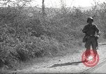 Standbild 10th Mountain Division Mule Pack Zug Italien, 1945, aus Sekunde 39 historischem Filmmaterial Videoclip 65675060354
