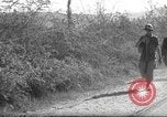 Standbild 10th Mountain Division Mule Pack Zug Italien, 1945, aus Sekunde 44 historischem Filmmaterial Videoclip 65675060354