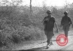 Standbild 10th Mountain Division Mule Pack Zug Italien, 1945, aus Sekunde 46 historischem Filmmaterial Videoclip 65675060354