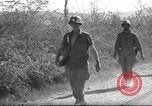 Standbild 10th Mountain Division Mule Pack Zug Italien, 1945, aus Sekunde 47 historischem Filmmaterial Videoclip 65675060354