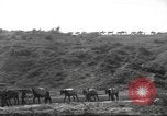 Standbild 10th Mountain Division Mule Pack Zug Italien, 1945, aus Sekunde 49 historischem Filmmaterial Videoclip 65675060354