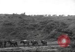 Standbild 10th Mountain Division Mule Pack Zug Italien, 1945, aus Sekunde 50 historischem Filmmaterial Videoclip 65675060354