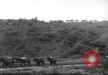 Standbild 10th Mountain Division Mule Pack Zug Italien, 1945, aus Sekunde 52 historischem Filmmaterial Videoclip 65675060354