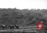 Standbild 10th Mountain Division Mule Pack Zug Italien, 1945, aus Sekunde 54 historischem Filmmaterial Videoclip 65675060354