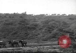 Standbild 10th Mountain Division Mule Pack Zug Italien, 1945, aus Sekunde 55 historischem Filmmaterial Videoclip 65675060354