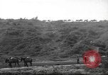 Standbild 10th Mountain Division Mule Pack Zug Italien, 1945, aus Sekunde 56 historischem Filmmaterial Videoclip 65675060354