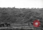 Standbild 10th Mountain Division Mule Pack Zug Italien, 1945, aus Sekunde 57 historischem Filmmaterial Videoclip 65675060354