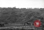 Standbild 10th Mountain Division Mule Pack Zug Italien, 1945, aus Sekunde 59 historischem Filmmaterial Videoclip 65675060354