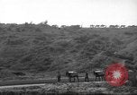 Standbild 10th Mountain Division Mule Pack Zug Italien, 1945, aus Sekunde 61 historischem Filmmaterial Videoclip 65675060354