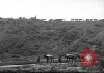 Standbild 10th Mountain Division Mule Pack Zug Italien, 1945, aus Sekunde 62 historischem Filmmaterial Videoclip 65675060354