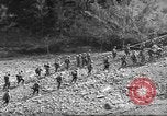 Image 351e Régiment d'infanterie 88e Division Calvenzano Italie, 1945, de la seconde 19 séquences d'archives historiques vidéo 65675060356