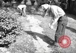 Image of Civilian Public Service personnel Elkridge Maryland USA, 1943, second 32 stock footage video 65675060364