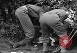 Immagine di Soldati statunitensi Venon Francia, 1944, secondo 18 filmato di repertorio 65675060377