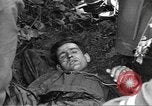 Immagine di Soldati statunitensi Venon Francia, 1944, secondo 22 filmato di repertorio 65675060377