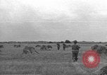 Immagine di Soldati statunitensi Venon Francia, 1944, secondo 26 filmato di repertorio 65675060377