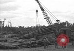 Standbild USA Soldaten Normandie Frankreich, 1944, aus Sekunde 53 historischem Filmmaterial Videoclip 65675060384