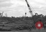 Standbild USA Soldaten Normandie Frankreich, 1944, aus Sekunde 61 historischem Filmmaterial Videoclip 65675060384