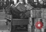 Standbild USA Soldaten Normandie Frankreich, 1944, aus Sekunde 20 historischem Filmmaterial Videoclip 65675060385