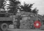 Standbild USA Soldaten Normandie Frankreich, 1944, aus Sekunde 55 historischem Filmmaterial Videoclip 65675060385