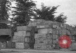 Standbild USA Soldaten Normandie Frankreich, 1944, aus Sekunde 56 historischem Filmmaterial Videoclip 65675060385