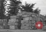 Standbild USA Soldaten Normandie Frankreich, 1944, aus Sekunde 57 historischem Filmmaterial Videoclip 65675060385