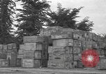 Standbild USA Soldaten Normandie Frankreich, 1944, aus Sekunde 58 historischem Filmmaterial Videoclip 65675060385