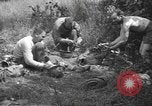 Image of Allied troops Carentan France, 1944, second 39 stock footage video 65675060389