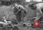 Image of Allied troops Carentan France, 1944, second 50 stock footage video 65675060389