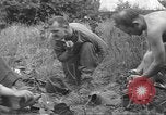 Image of Allied troops Carentan France, 1944, second 56 stock footage video 65675060389