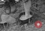 Image of Allied troops Carentan France, 1944, second 62 stock footage video 65675060389
