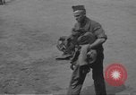 Standbild 507th Regiment 82nd Airborne Division Tollerton England, 1944, aus Sekunde 34 historischem Filmmaterial Videoclip 65675060395