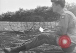 Standbild USA Soldaten Vereinigtes Königreich, 1944, aus Sekunde 39 historischem Filmmaterial Videoclip 65675060398