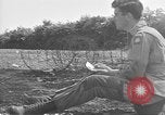 Standbild USA Soldaten Vereinigtes Königreich, 1944, aus Sekunde 43 historischem Filmmaterial Videoclip 65675060398